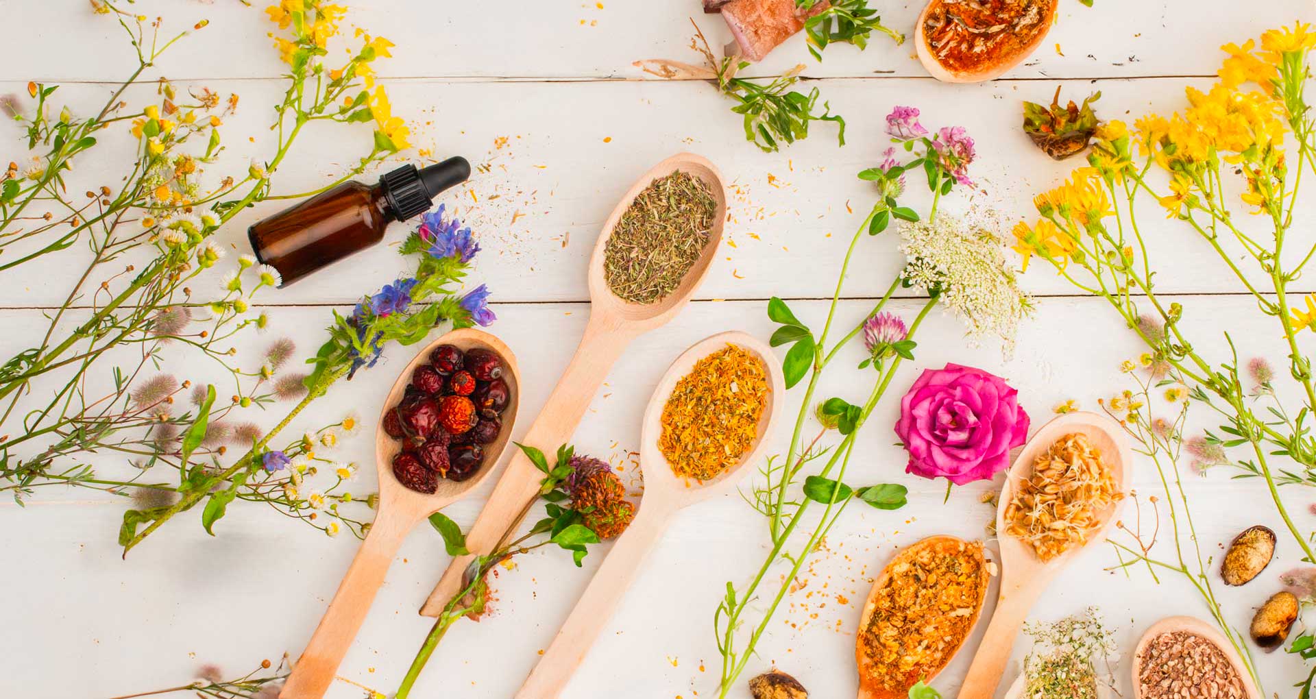 Les séances de Naturopathie sont-elles remboursées?